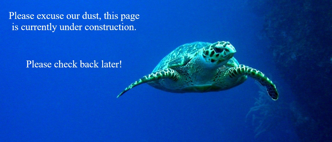 Sea turtle swimming with text reading Please excuse our dust, this page is currently under construction. Please check back later!