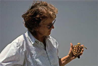 Helen Martins with “lost year” loggerhead from the waters around the Azores. Photo: Alan Bolten